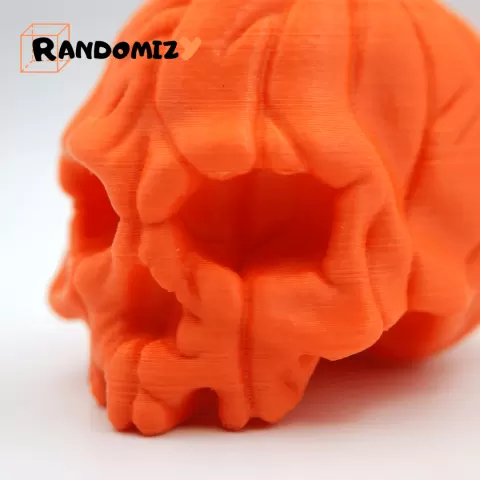 Pumpkin Skull
