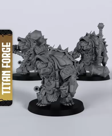 Tortle Male Paladin - With Free Dragon - 5e DnD Inspired for RPG and Wargamers