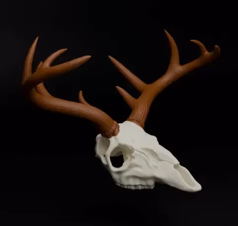 Deer Skull (MysticMesh3D)