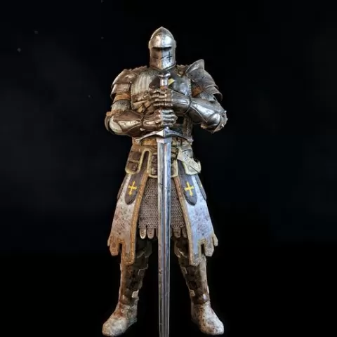 For Honor Warden