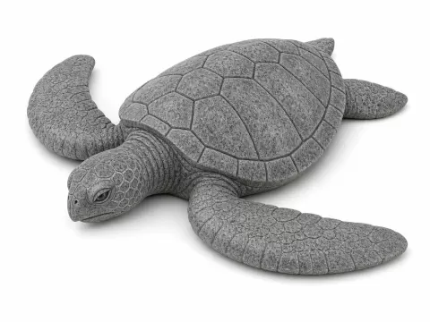 Sea turtle