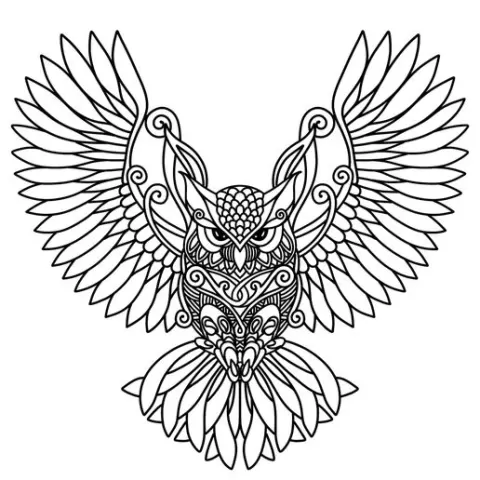 Owl