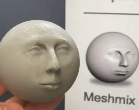 Meshmixer man