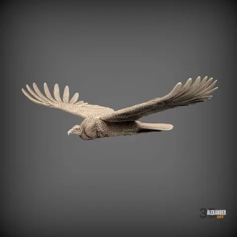 Condor is flying by Alexander3dart