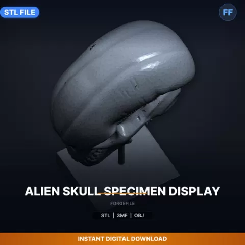 Alien Skull Specimen Display - 3D Printable STL File