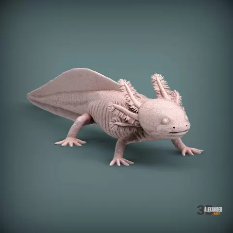 Axolotl by Alexander3dart