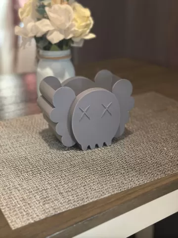 Kaws Organizer
