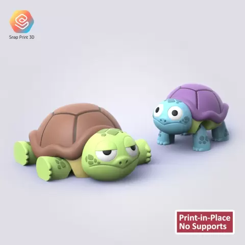 Flexi Tortues
