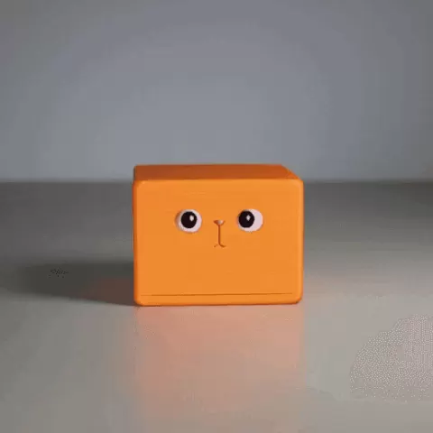 Little Creature Box