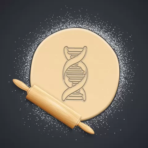 DNA Cookie Cutter, Biscuit Cutter