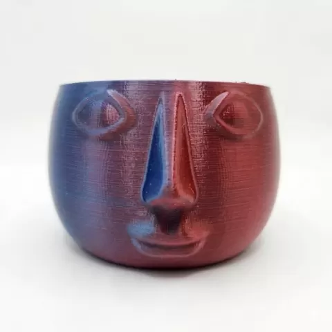FacePot_PrintStart3D.stl