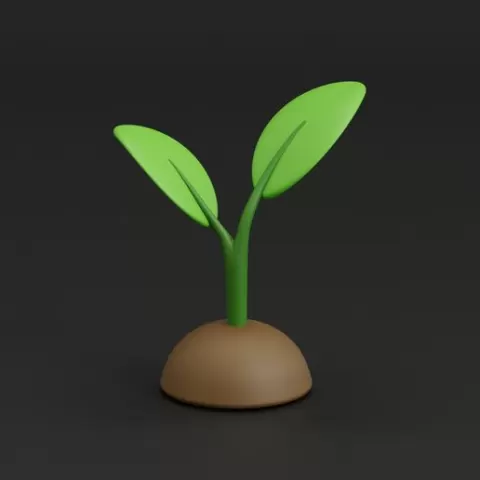 plant sprout