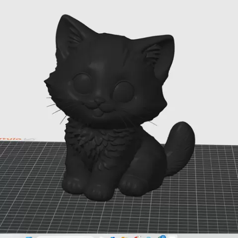 Nocti, the Curious Kitten