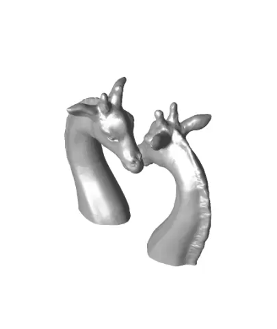 Giraffe heart