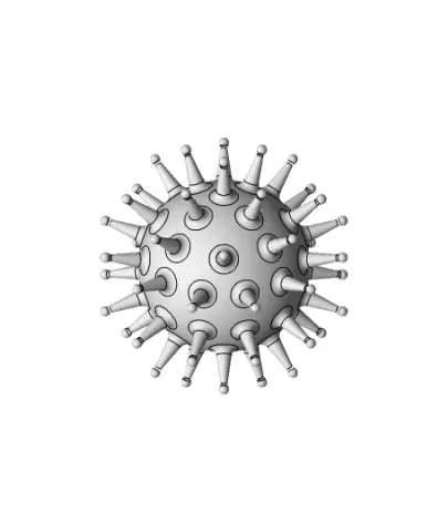 Corona Virus