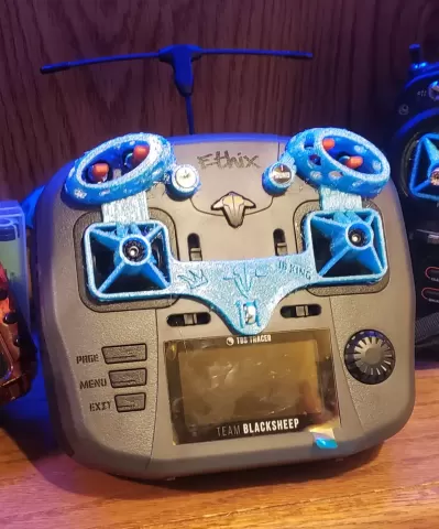 Mambo gimbal and switch protector
