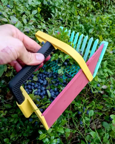 Blueberry Picker