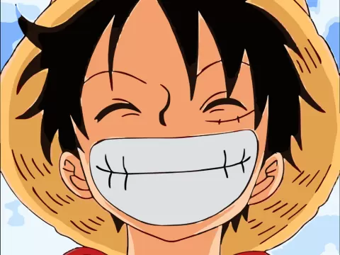 Monkey One Piece