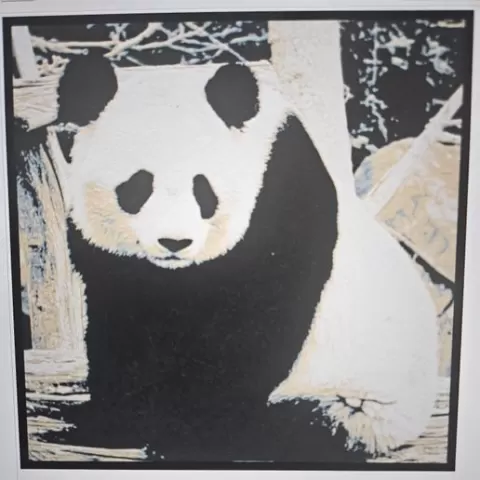 PANDA