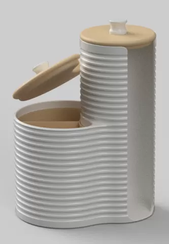 Cotton pad and swabs organizer