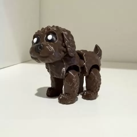 Labradoodle