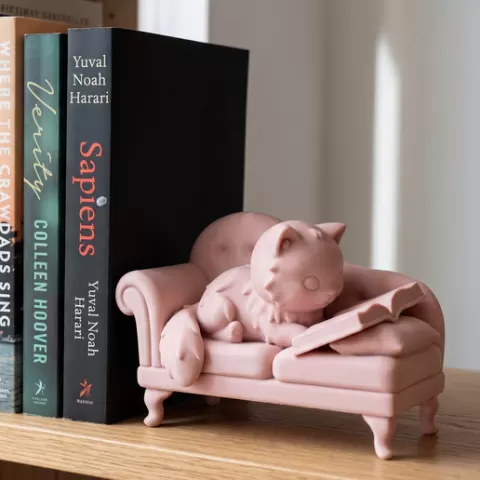 Fluffy Cat Book Club 🐱📖