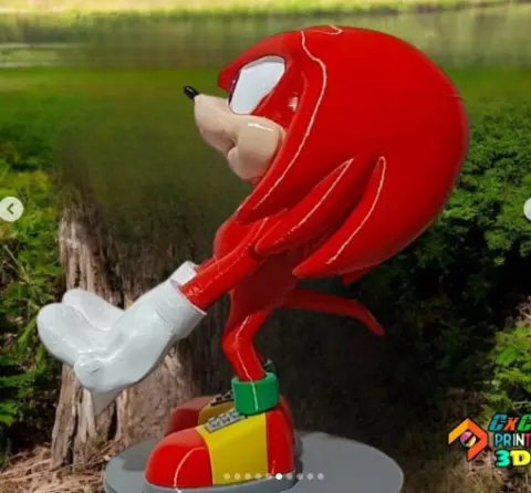 porta joystick knuckle, the Echidna
