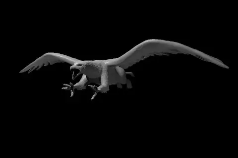 Griffon
