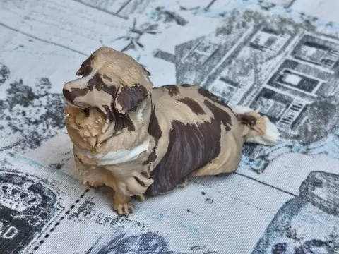 Sitting little dog