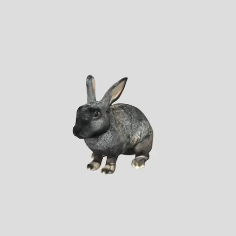 Two Rabbits on a Blue Grid Floor