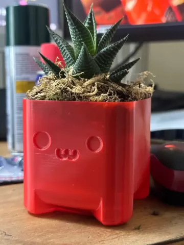 Cute Planter Timo