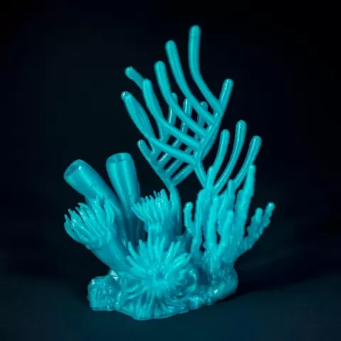Marmalade Reef