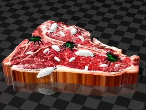 t-bone-full-of-maggots