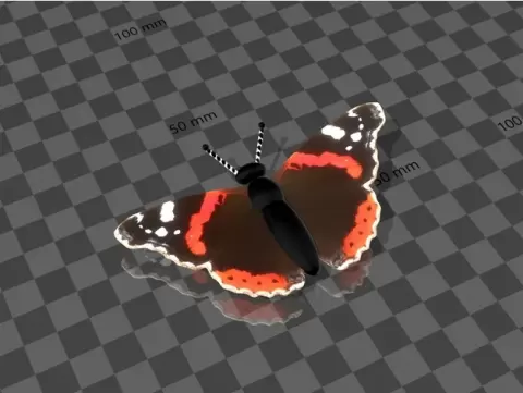 butterfly / schmetterling