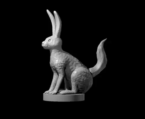 Long Tail Jack Rabbit