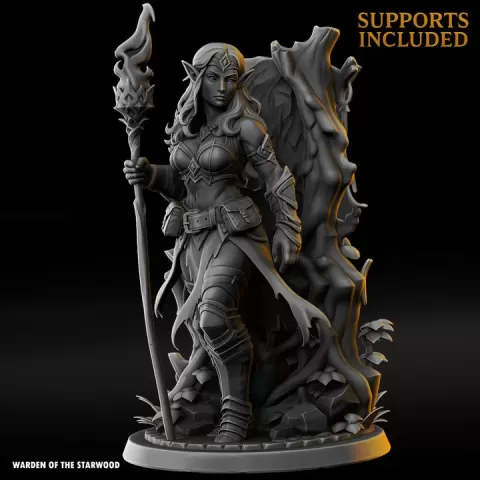 Elowyn Starflare ( Elf Mage) - Echo Art - Warden of the Starwood by Echo Art Studios