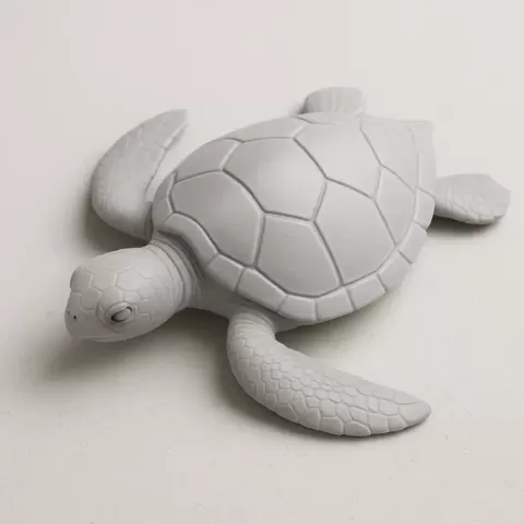 Sea Turtle