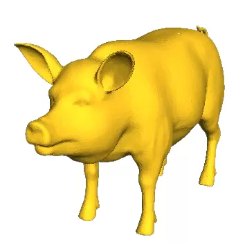 Pig