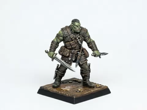 Nogrun - Male Half-orc Fighter/Thief