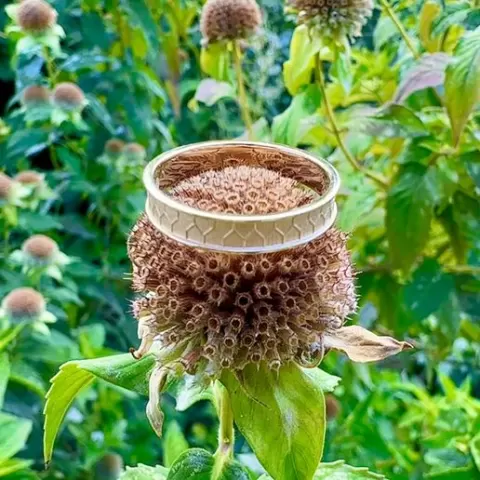 Honeycomb Ring