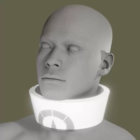 Paradise collar. shackles