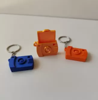 Camera key ring with removable portrait holder