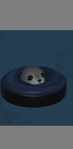Seal Encounter