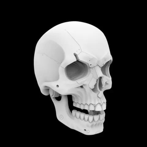 Minimalist Mechanical Skull 3D Print Model Sci-Fi Gothic Decor