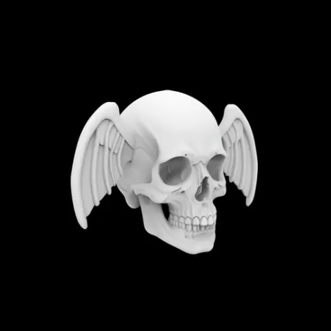 Plain Skull with Simple Wings 3D Print Model Gothic Macabre Decor