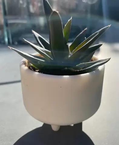 3 leg succulent planter pot