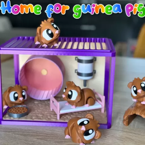 Guinea pigs world - 3DMaR