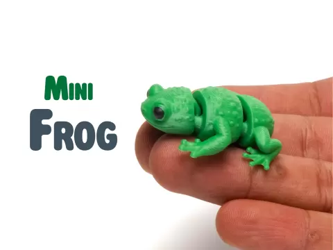 Mini Frog