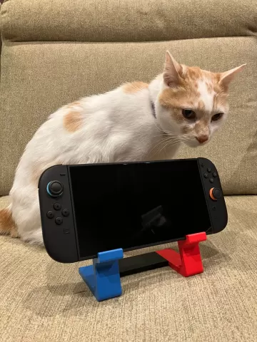 Nintendo Switch and Switch 2 Stand