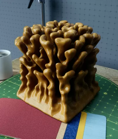 Coral Experiment #1.stl